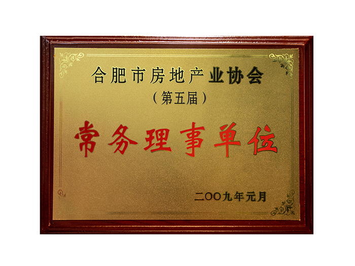 合肥市房地產(chǎn)業(yè)協(xié)會(huì)(第五屆) 常務(wù)理事單位